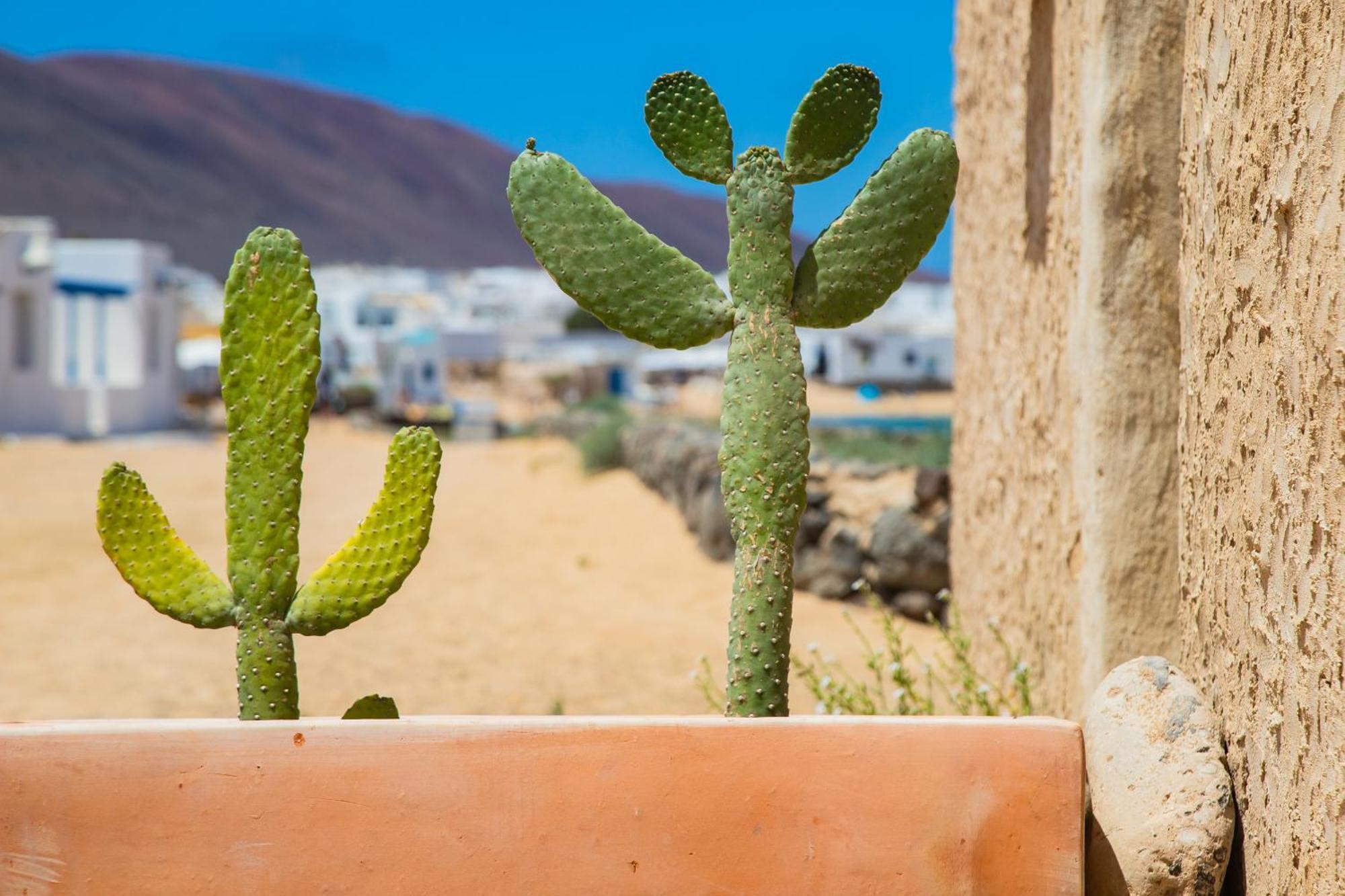 Eslanzarote La Duna House, Wifi, Sea Views Caleta de Sebo Exterior photo